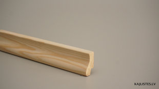 Koka grīdlīste 20x40mm (tekošie metri)